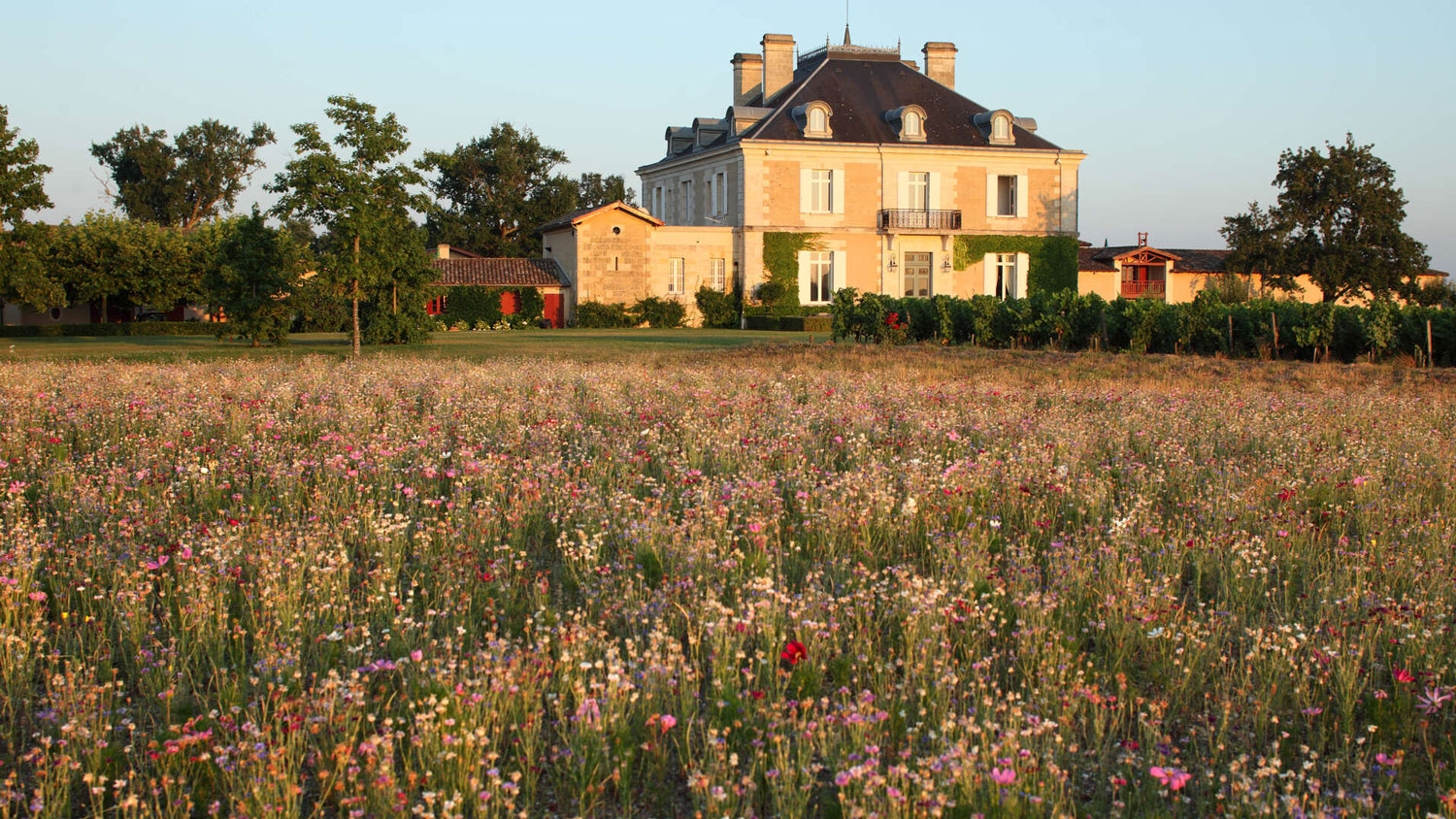 Que faire à Bordeaux en ce week-end vitaminé – 28, 29, 30 août 2020