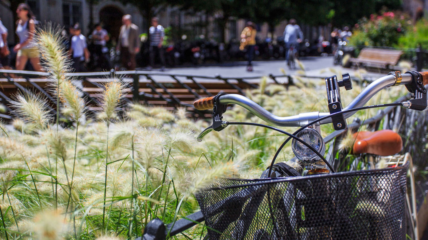 Que faire à Bordeaux en ce week-end de découverte en plein air ? 21, 22, 23 août 2020