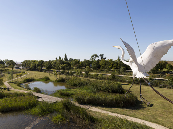 parc ornithologique terres d'oiseaux