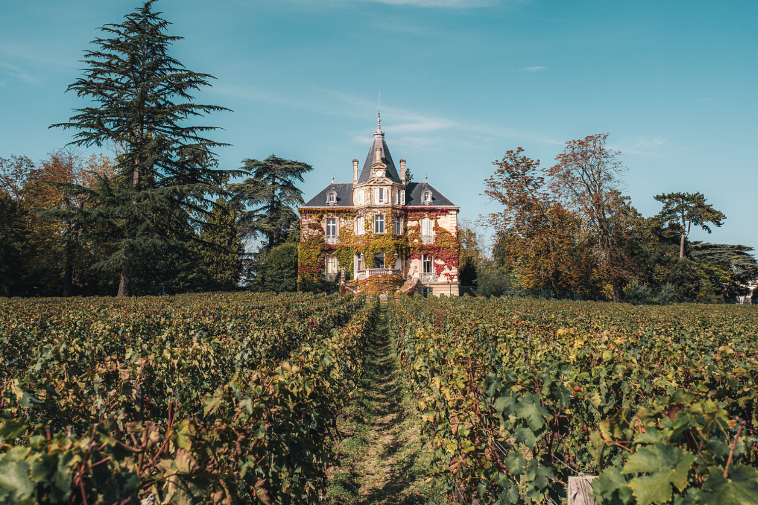 Les châteaux de Bordeaux à portée de main !