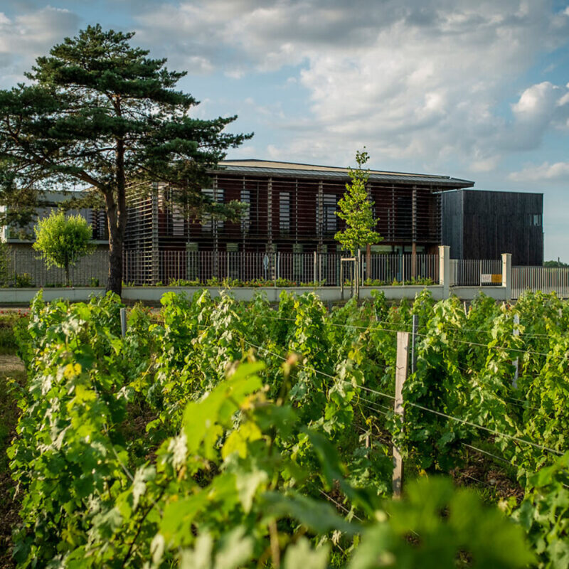 Chateau proche Bordeaux