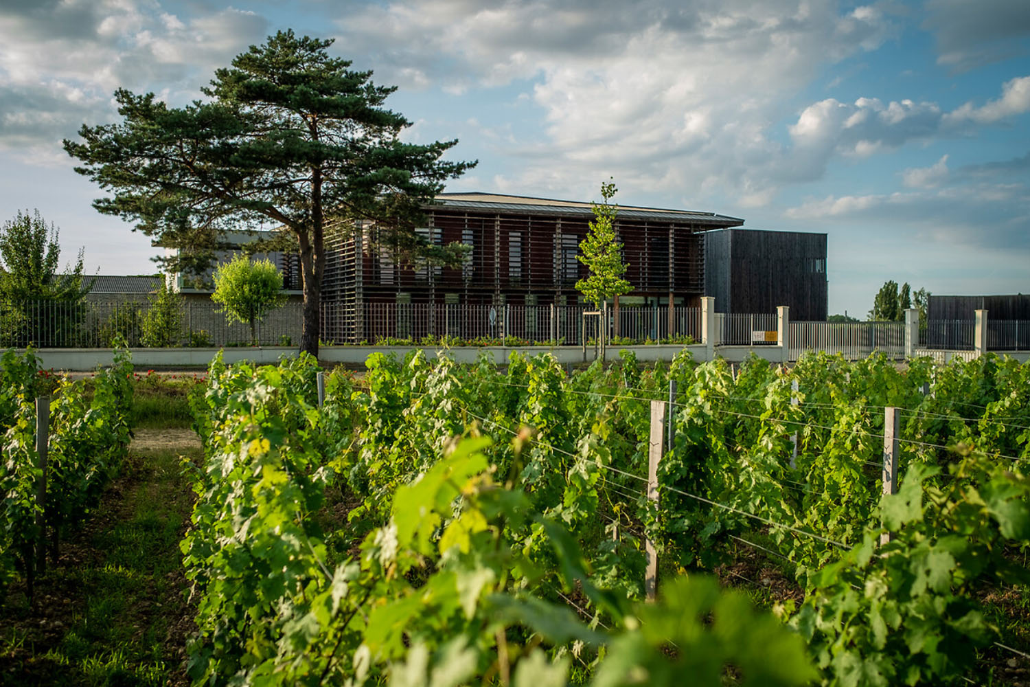 Chateau proche Bordeaux