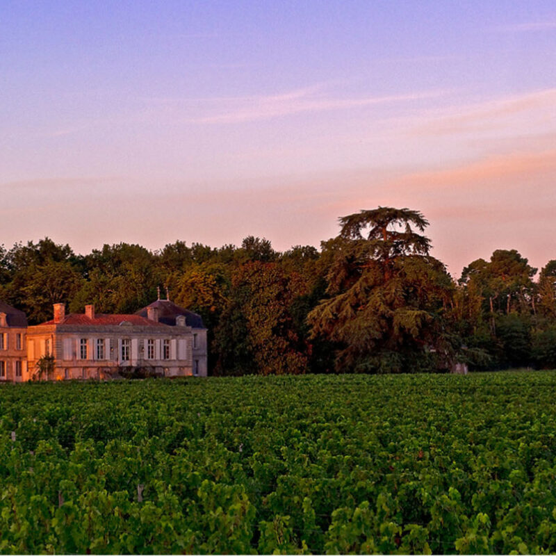 Vignoble à Bordeaux