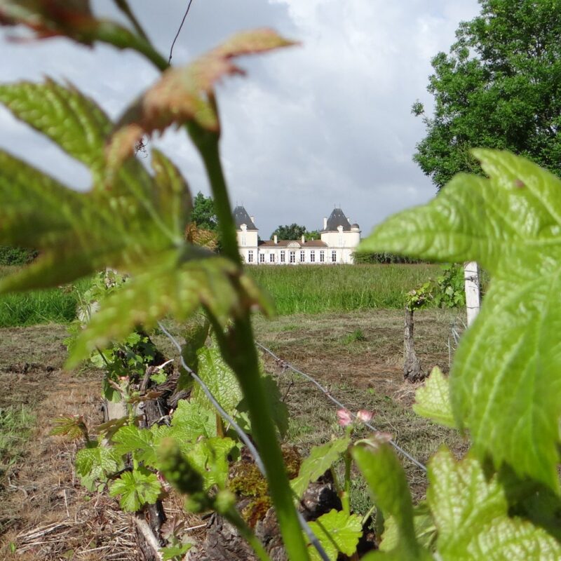 Château proche de Bordeaux