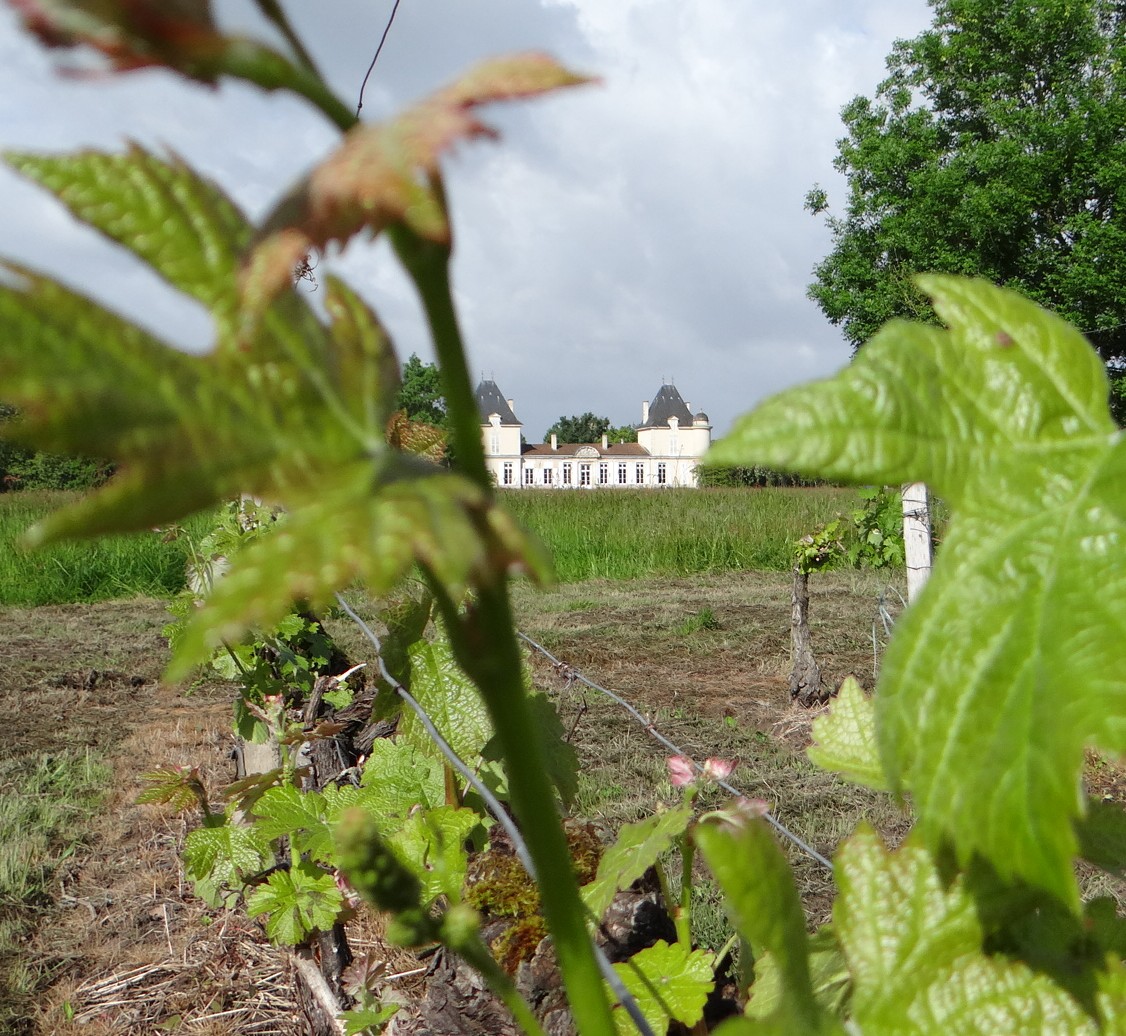 Château proche de Bordeaux