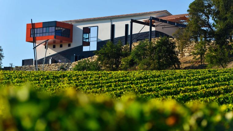 confinement bordeaux activités culturelles autour de la vigne chateau vin