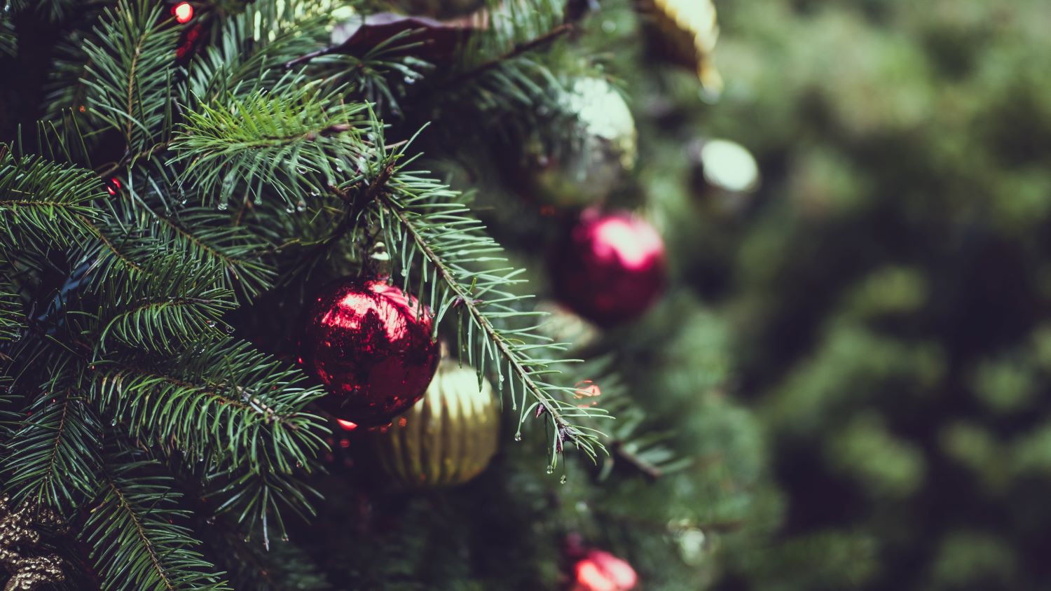 Que faire ce dernier week-end avant Noël à Bordeaux ? 19 et 20 décembre 2020