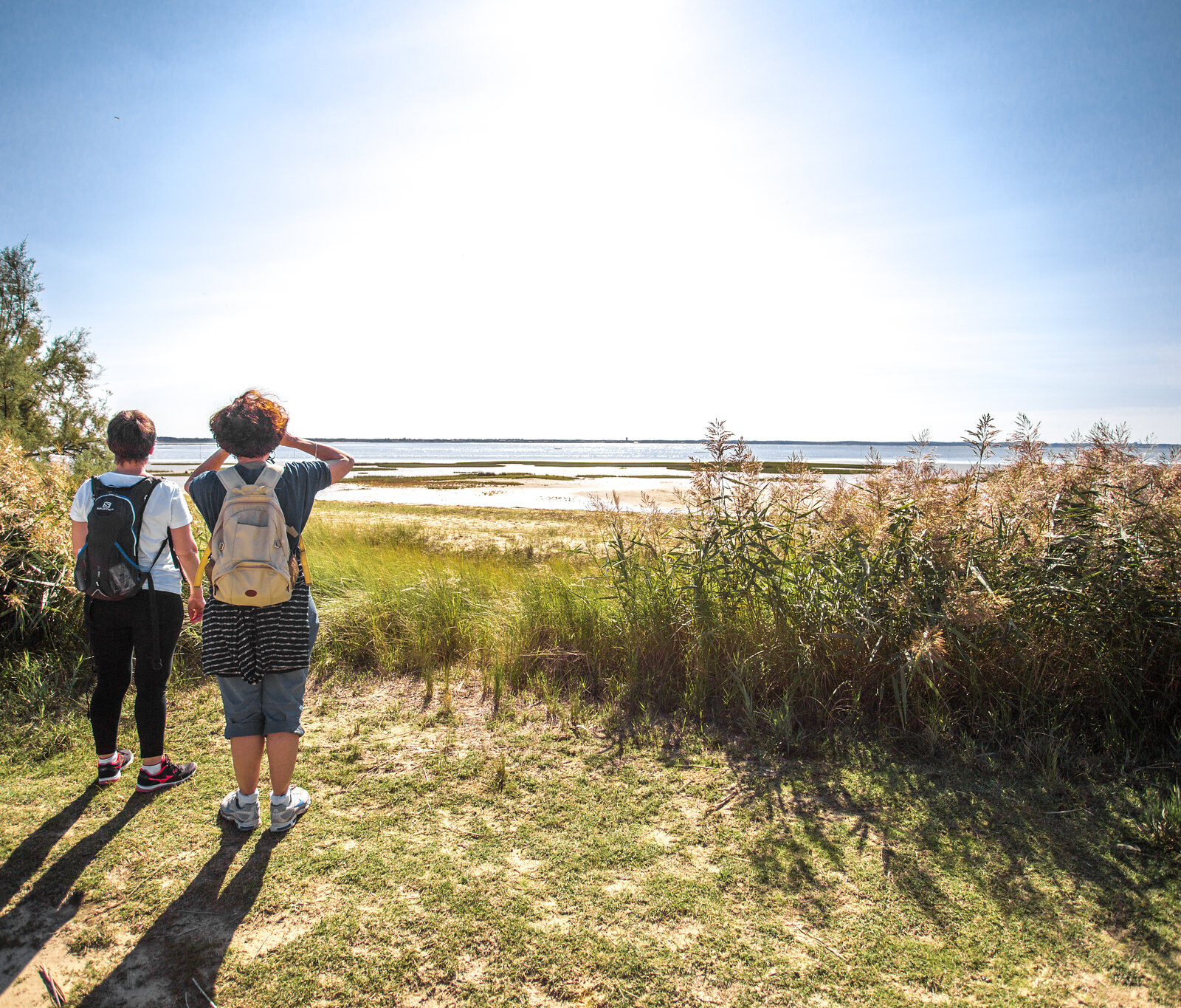 Que faire ce week-end à Bordeaux entre nature et aventure ? 9 et 10 janvier 2021