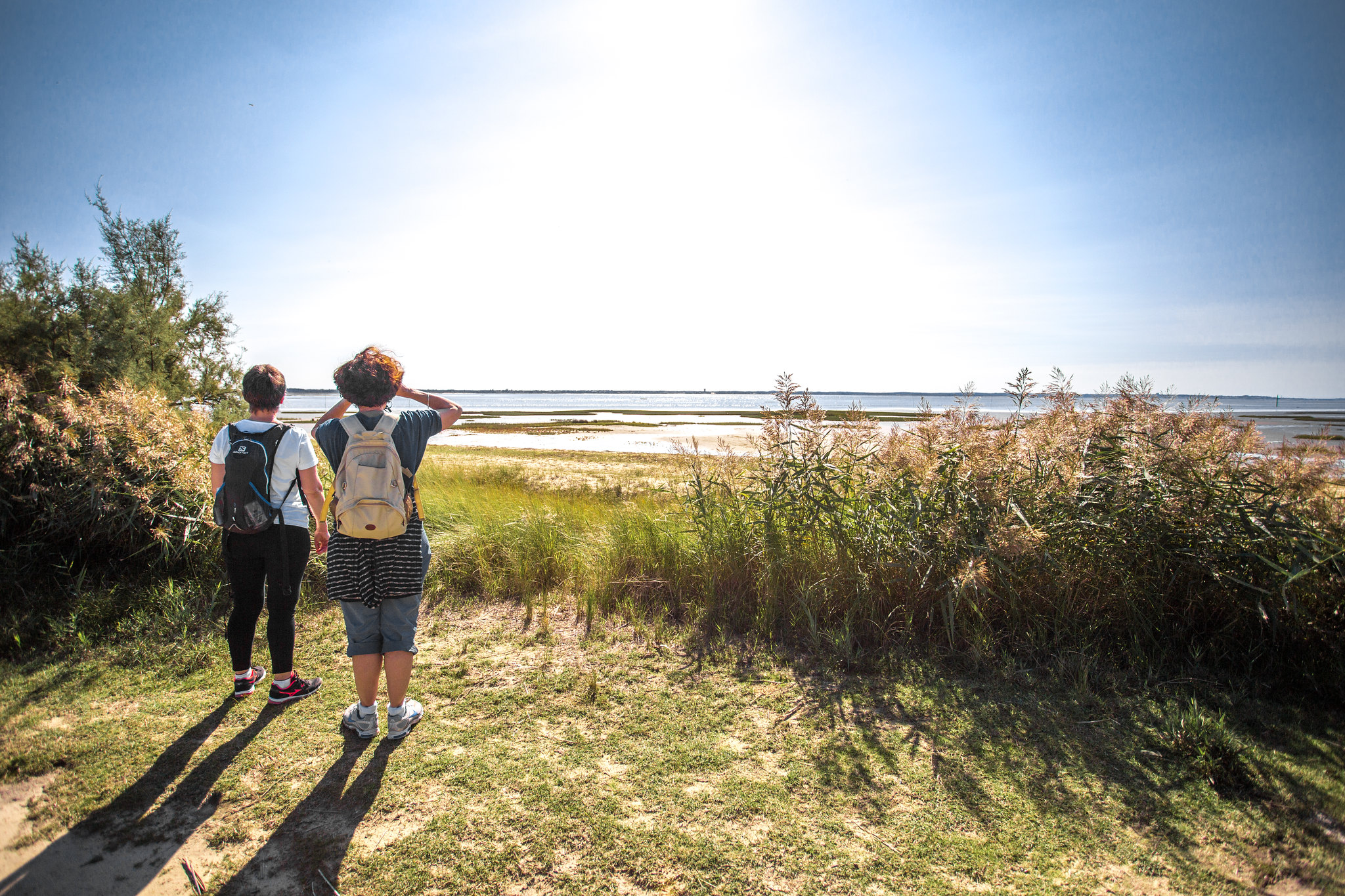 Que faire ce week-end à Bordeaux entre nature et aventure ? 9 et 10 janvier 2021
