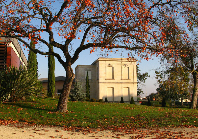 rando vignes Bordeaux