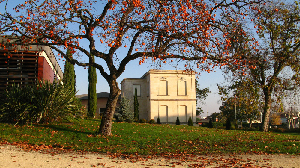 rando vignes Bordeaux