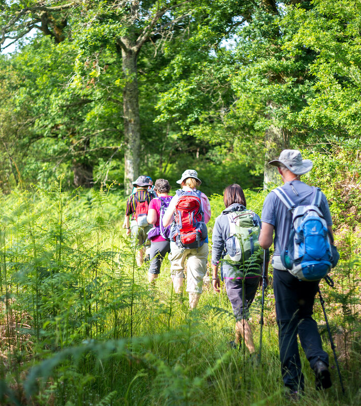 Balade en forêt