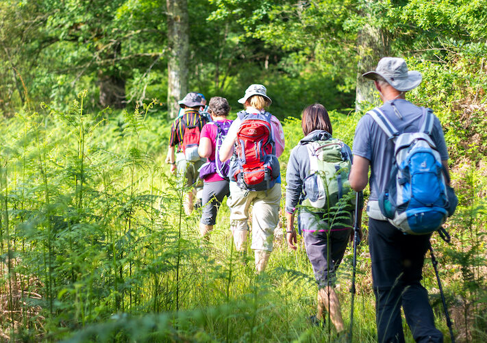 Balade en forêt