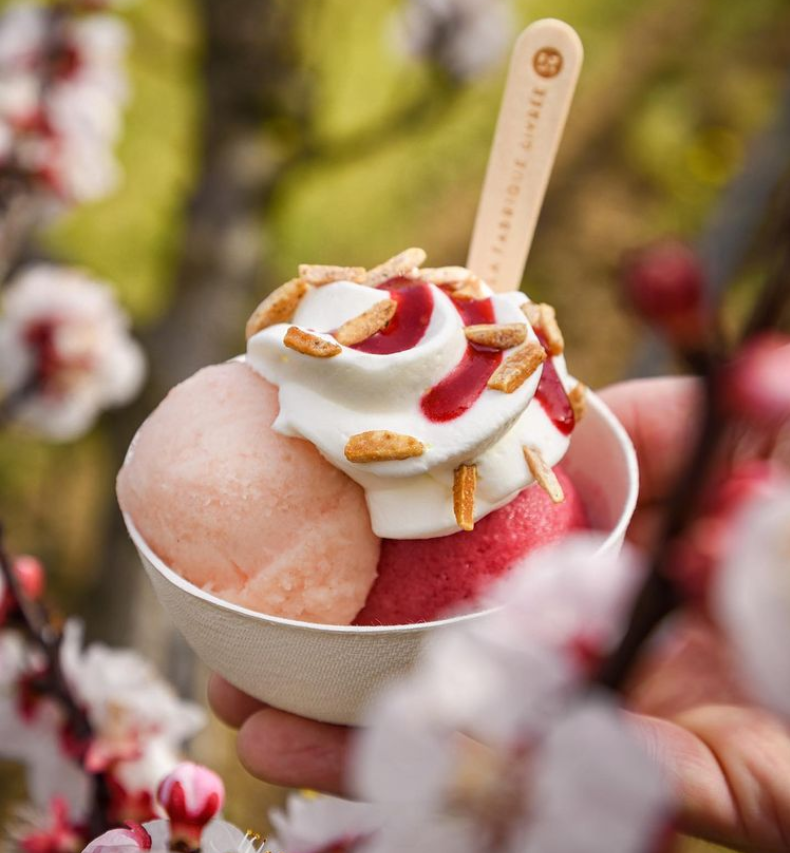 où manger une bonne glace à Bordeaux