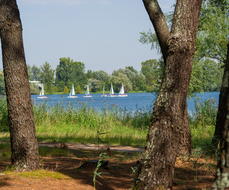 Bordeaux Lac Parc des Jalles