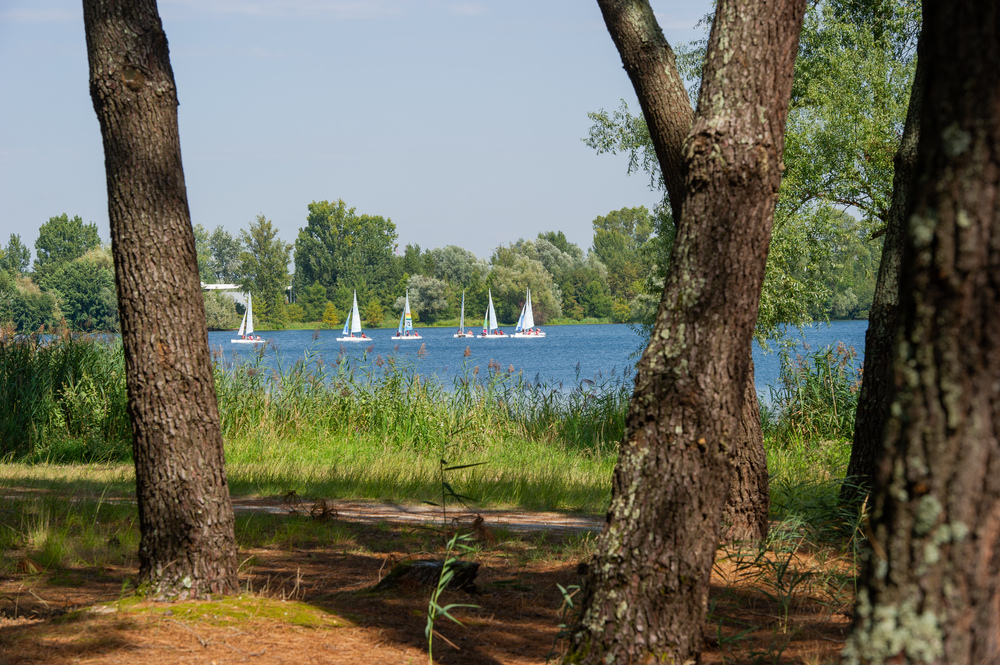 Bordeaux Lac Parc des Jalles