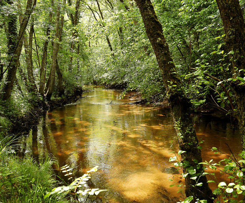 Moulin Bidon Parc des Jalles