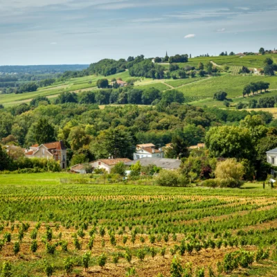 Saint-Médard-en-Jalles et balade au parfum de grand cru