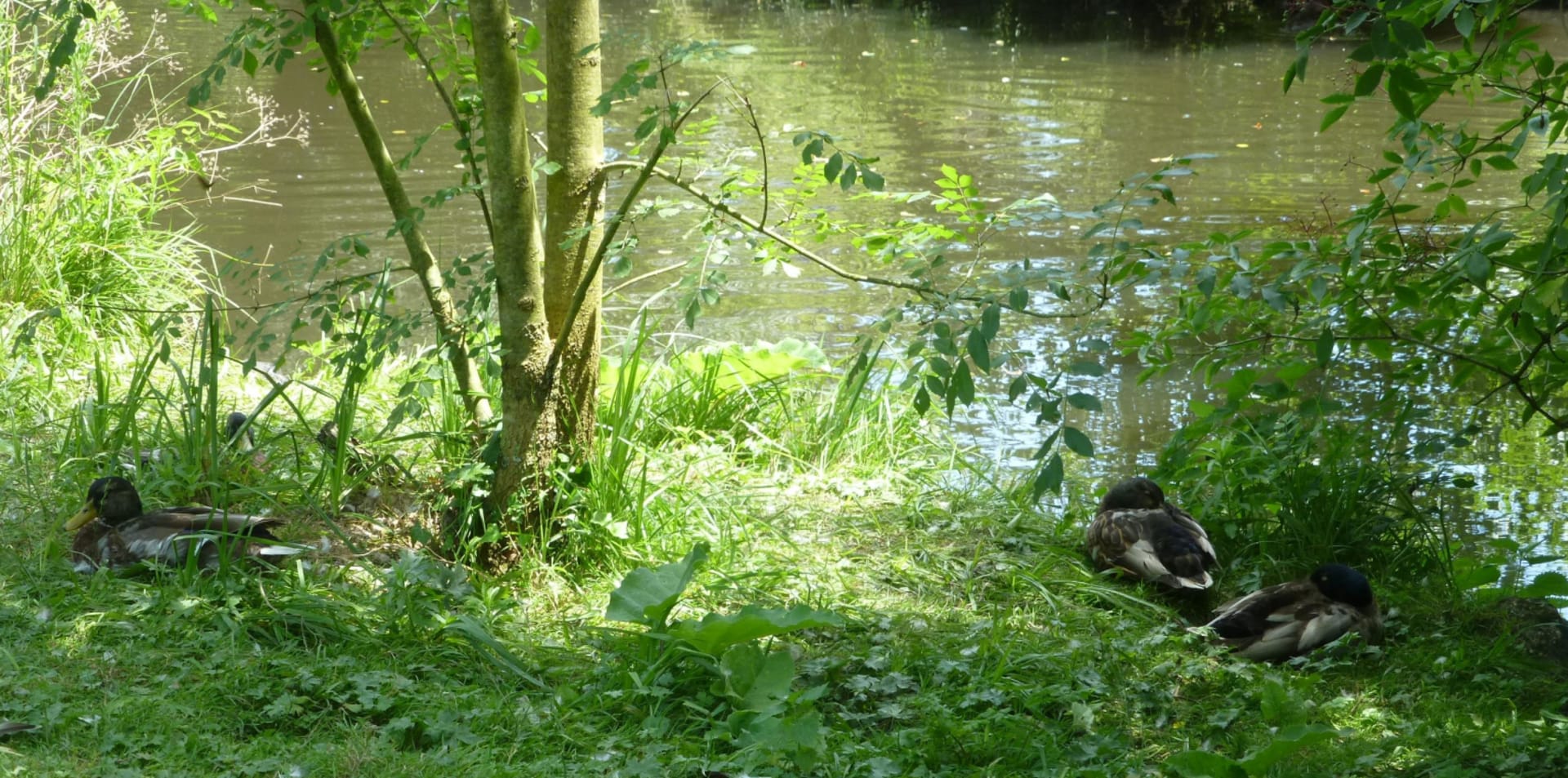 Au fil de l’Eau Bourde : bonheur nature de Talence à Gradignan