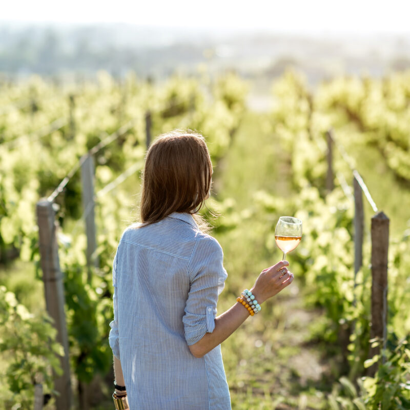 Vignoble Bordeaux