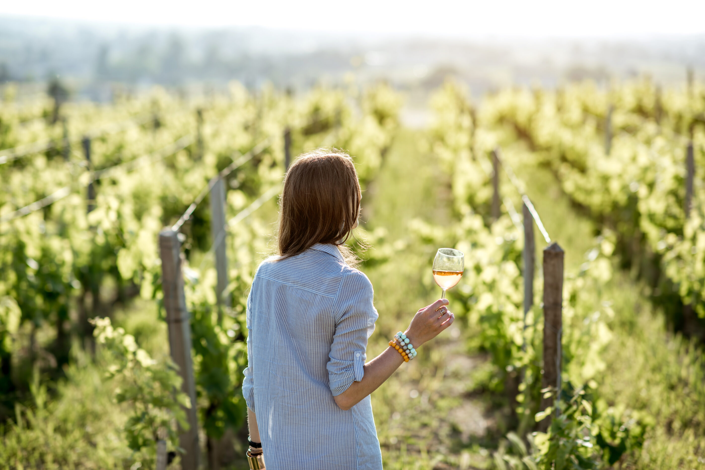 Vignoble Bordeaux