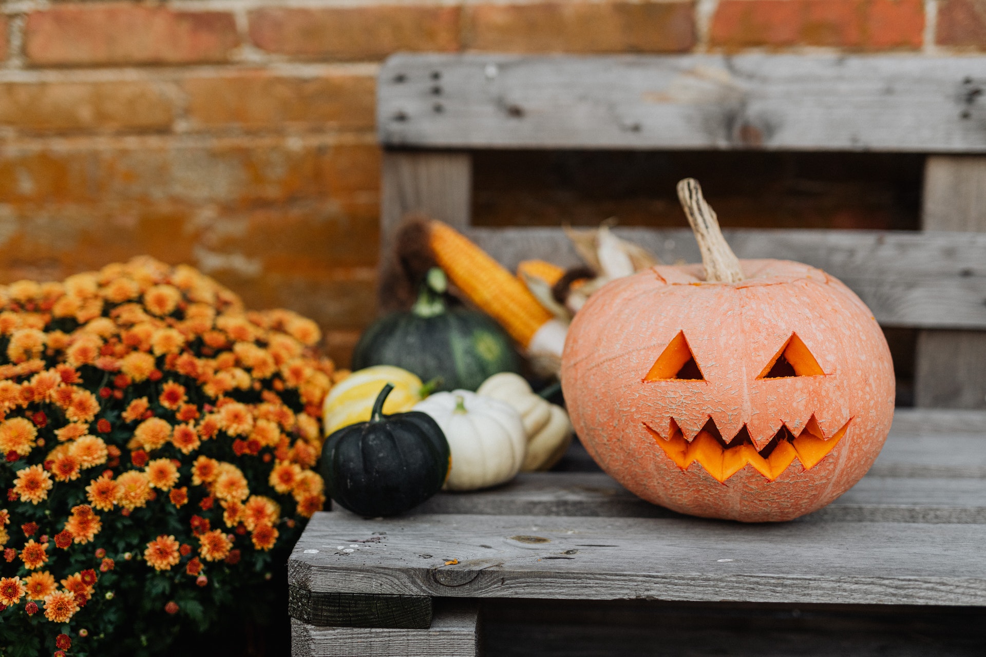 Fêtez Halloween à Bordeaux