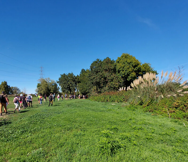 parc des jalles