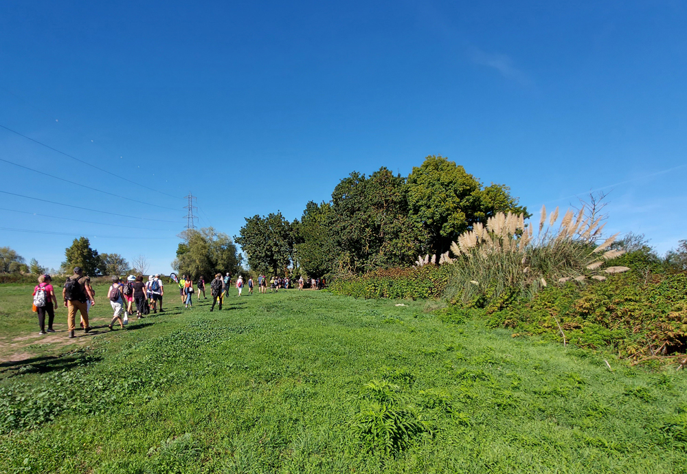 parc des jalles