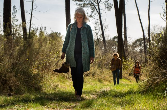 Bain de forêt près de Bordeaux