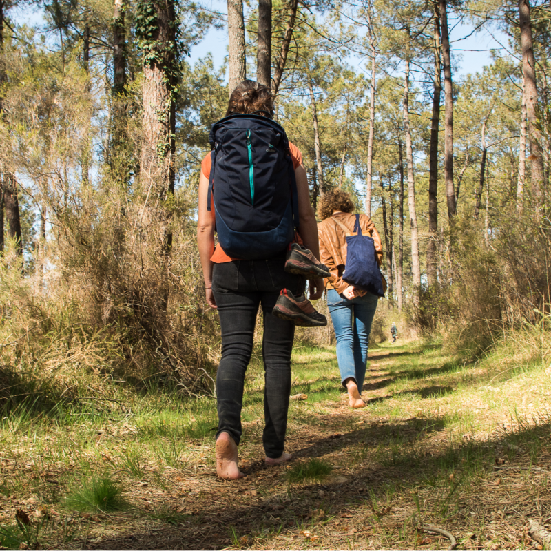 Bain de forêt