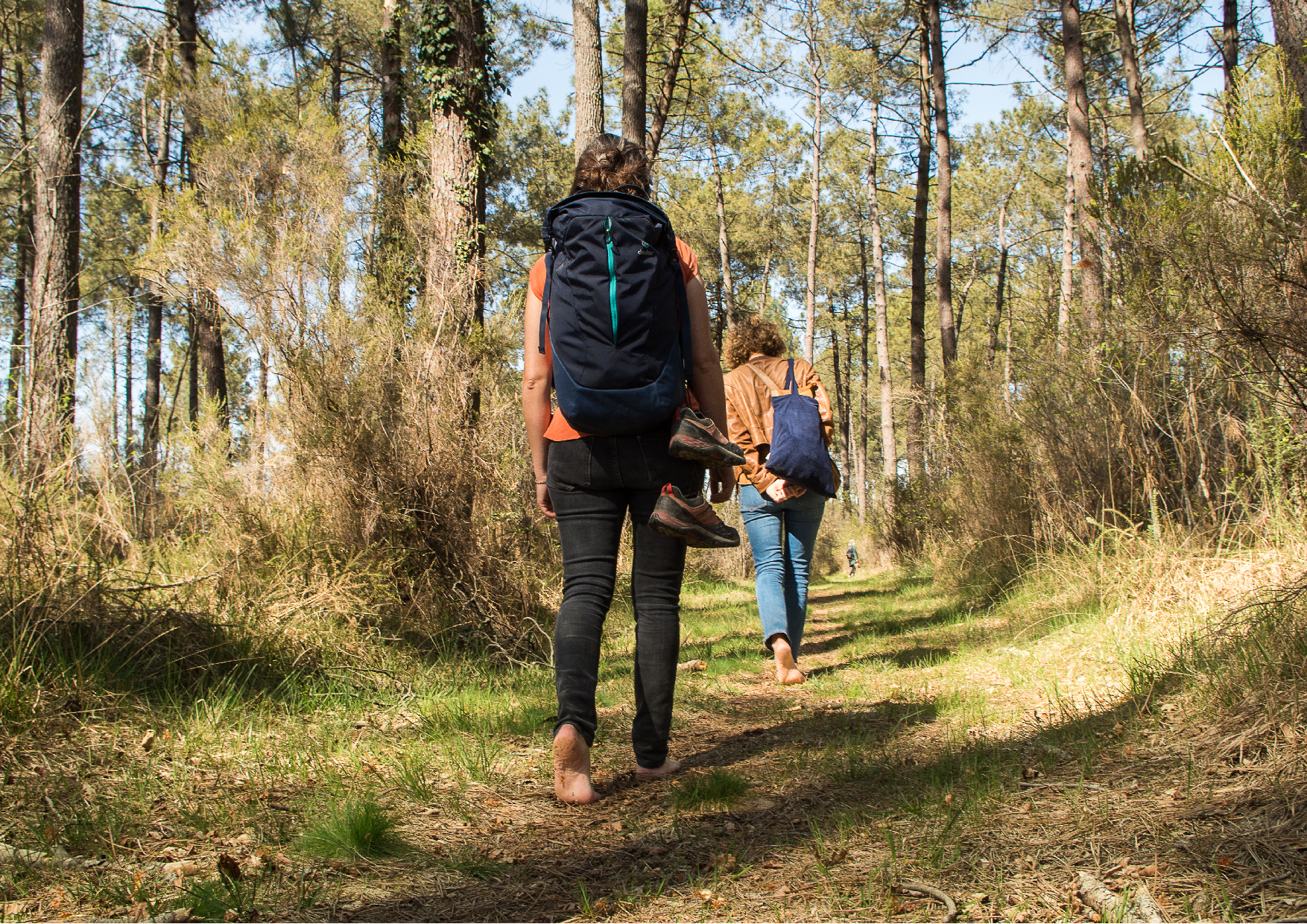 Bain de forêt