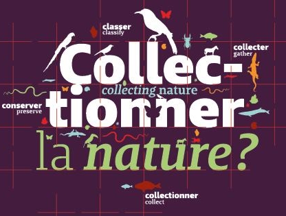 expo muséum Bordeaux enfants