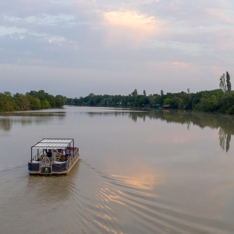 bateau garonne quoi faire à bègles