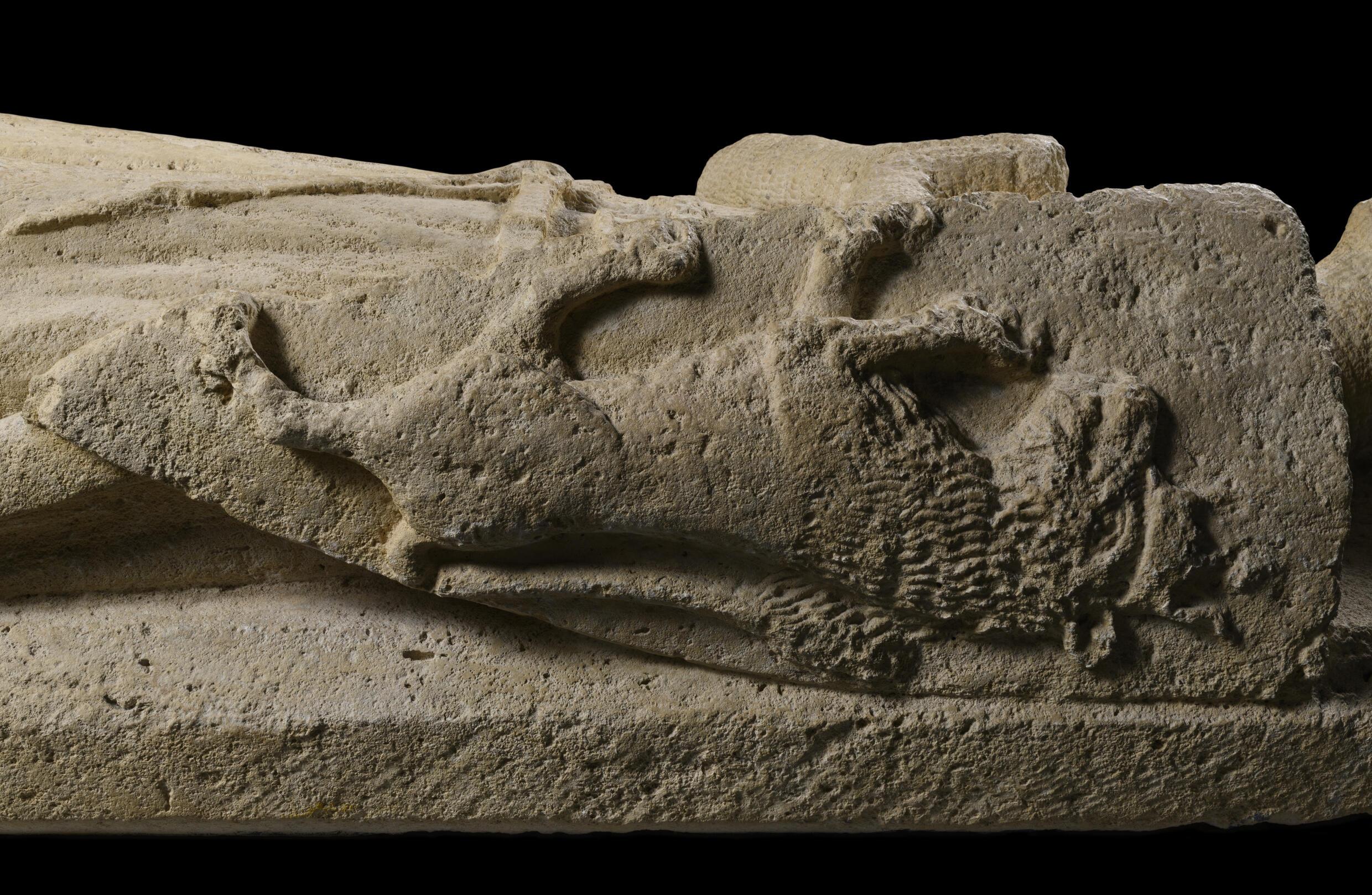 Une œuvre, un musée – Le chevalier énigmatique du Musée d’Aquitaine