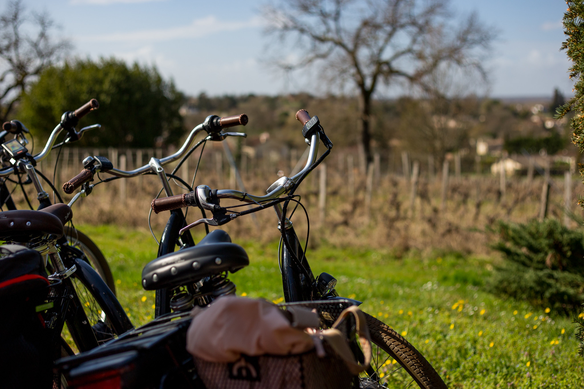 A vélo sur la piste Lapébie en Entre-deux-Mers