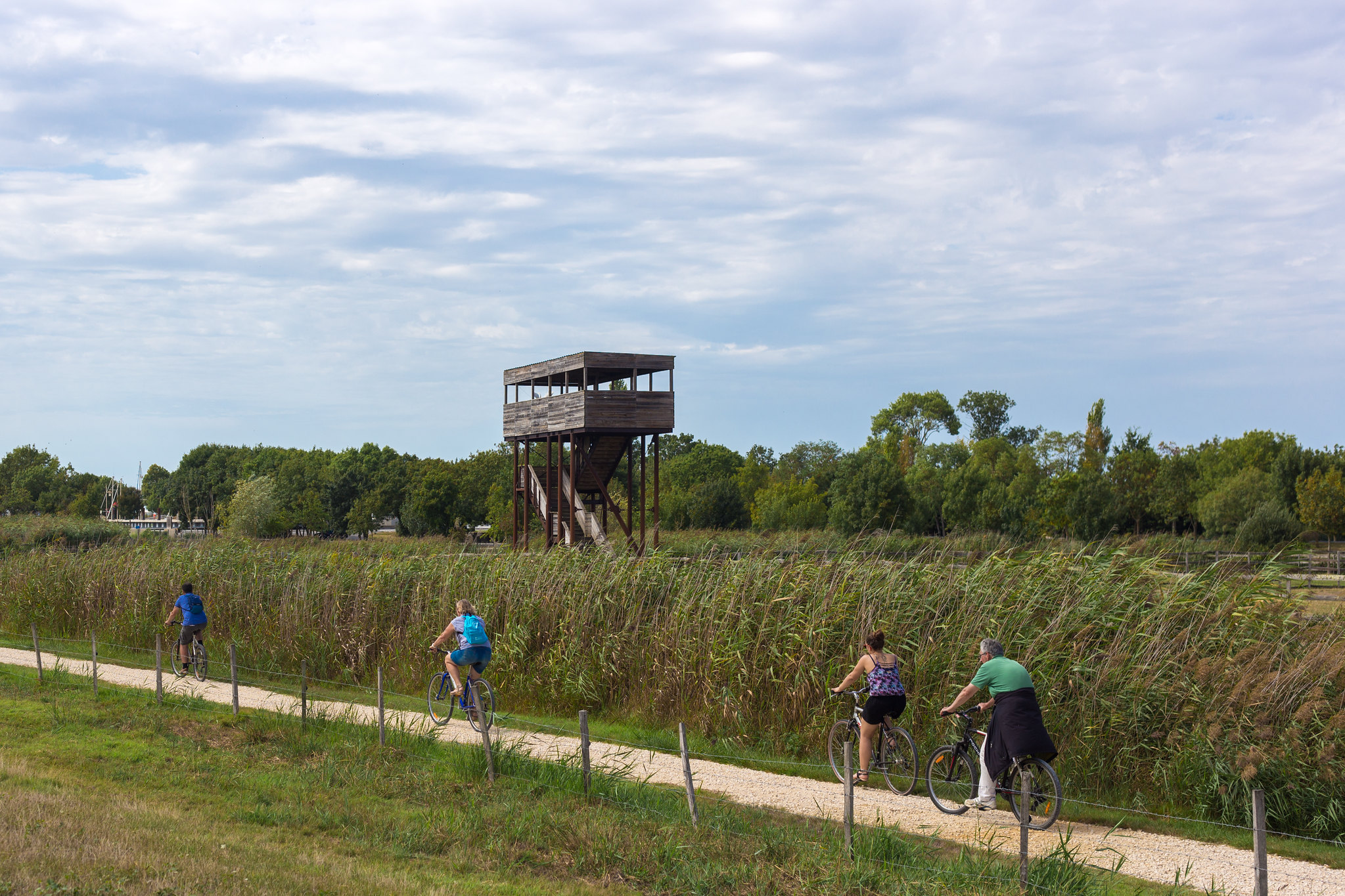 Cyclistes à Terre d'oiseaux