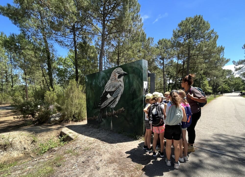 Nouveau parcours Tèrra Aventura à Pessac !