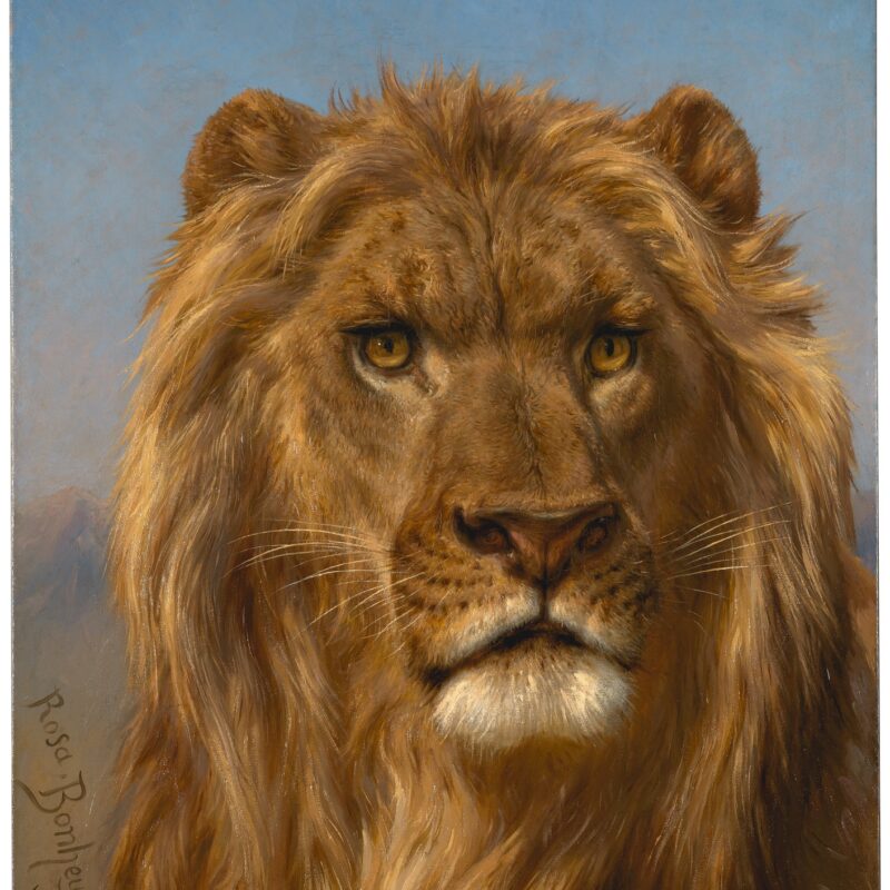 Le Lion - Collection du Prado