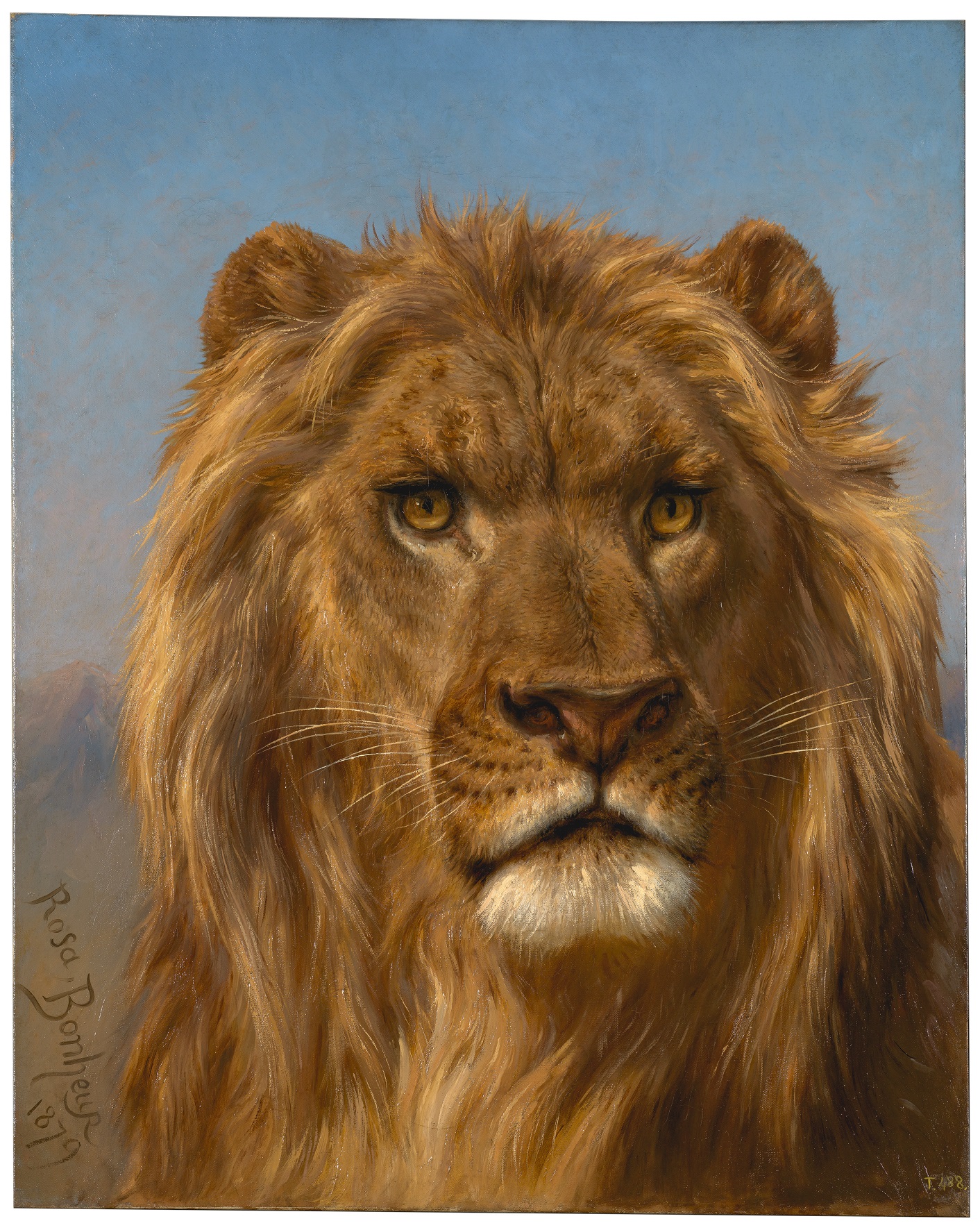 Le Lion - Collection du Prado