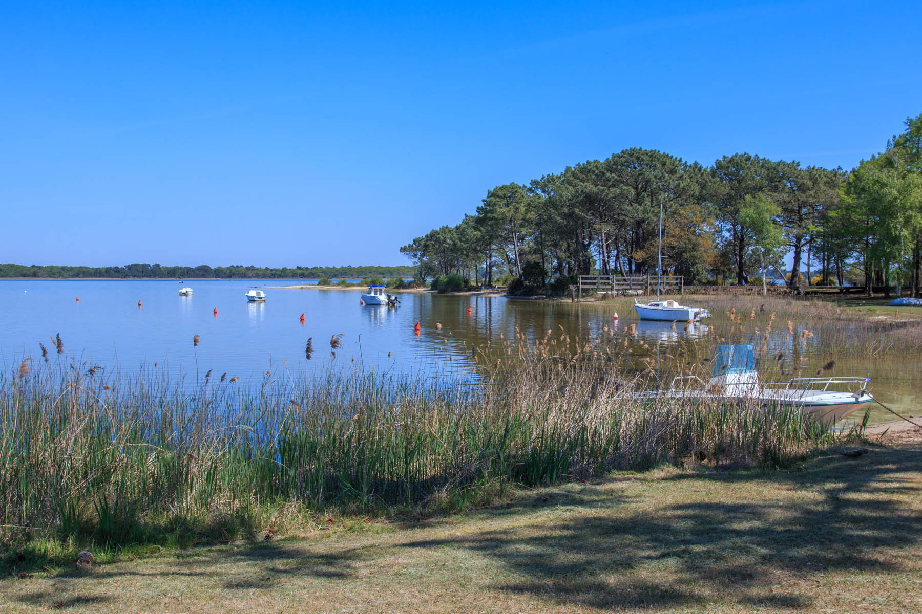 Lac d'Hourtin aux alentours de Bordeaux