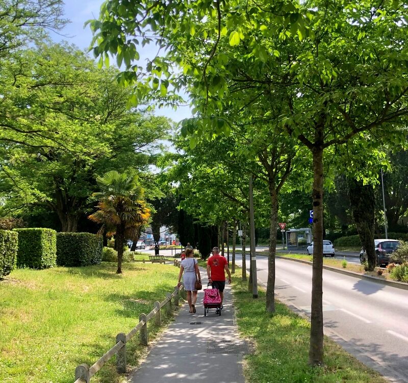 Promeneur au marché de Mérignac