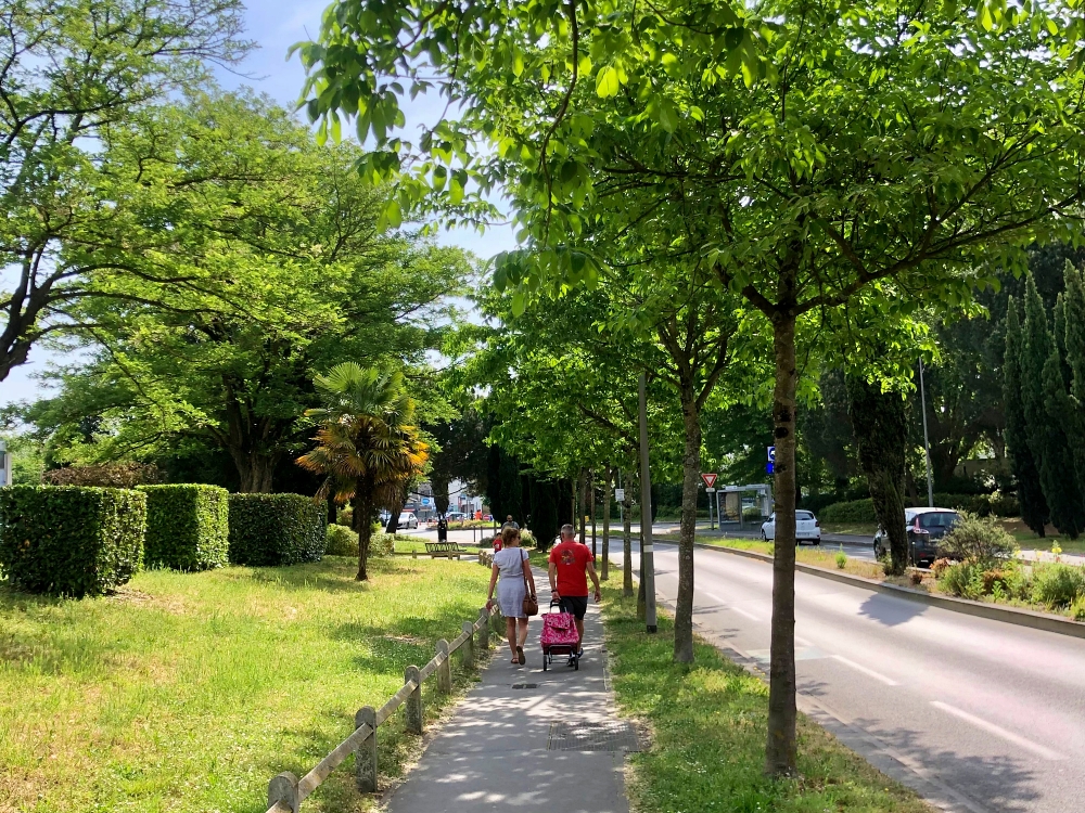 Promeneur au marché de Mérignac
