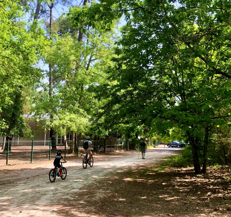 Vélo dans le bois du château à Mérignac