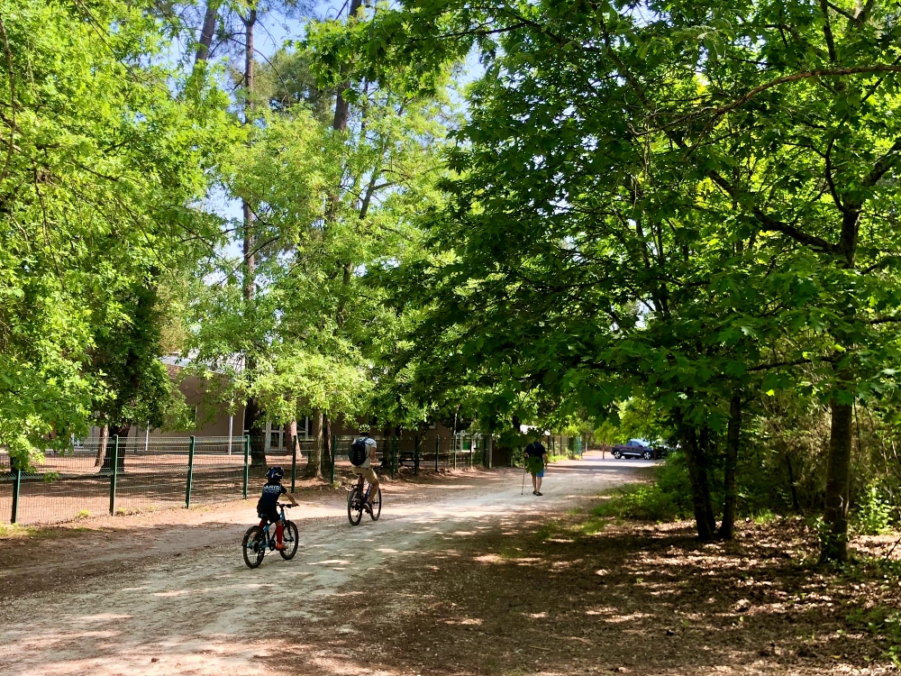 Vélo dans le bois du château à Mérignac