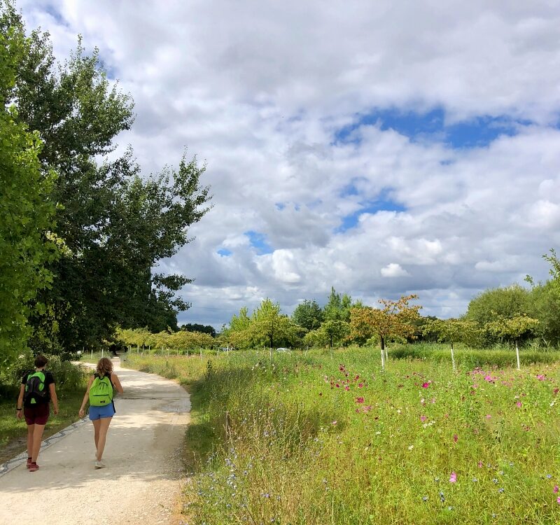 Promeneur Parc Majolan