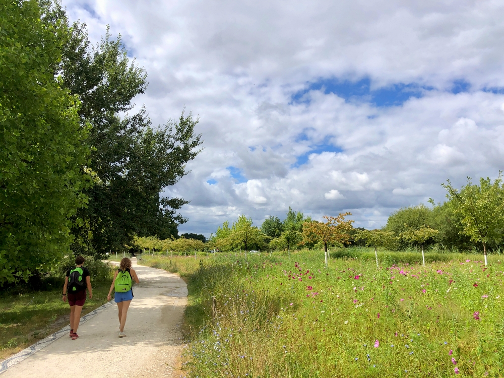 Promeneur Parc Majolan