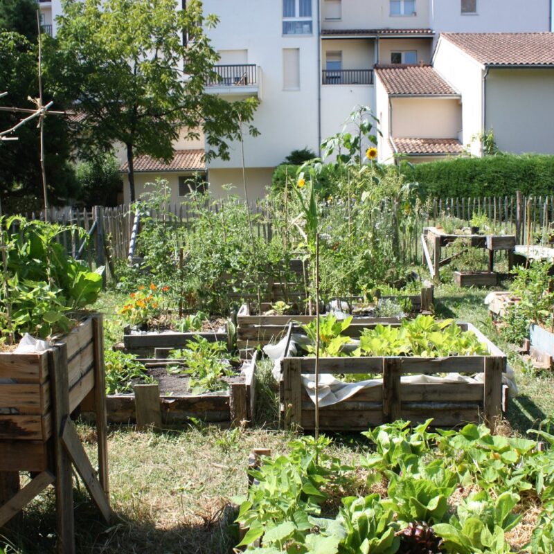 jardin partagé St Julien quartier St Augustin