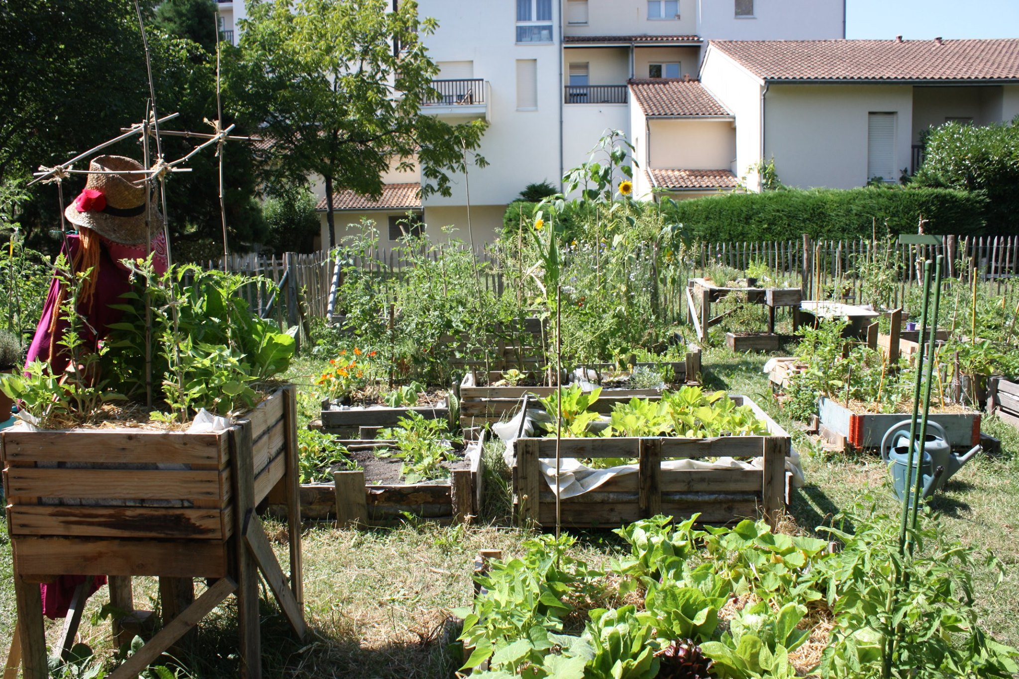 jardin partagé St Julien quartier St Augustin