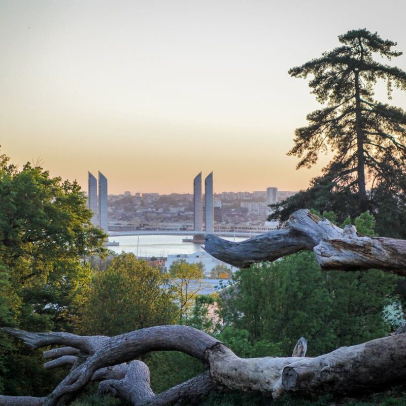 Panorama depuis le Parc Palmer