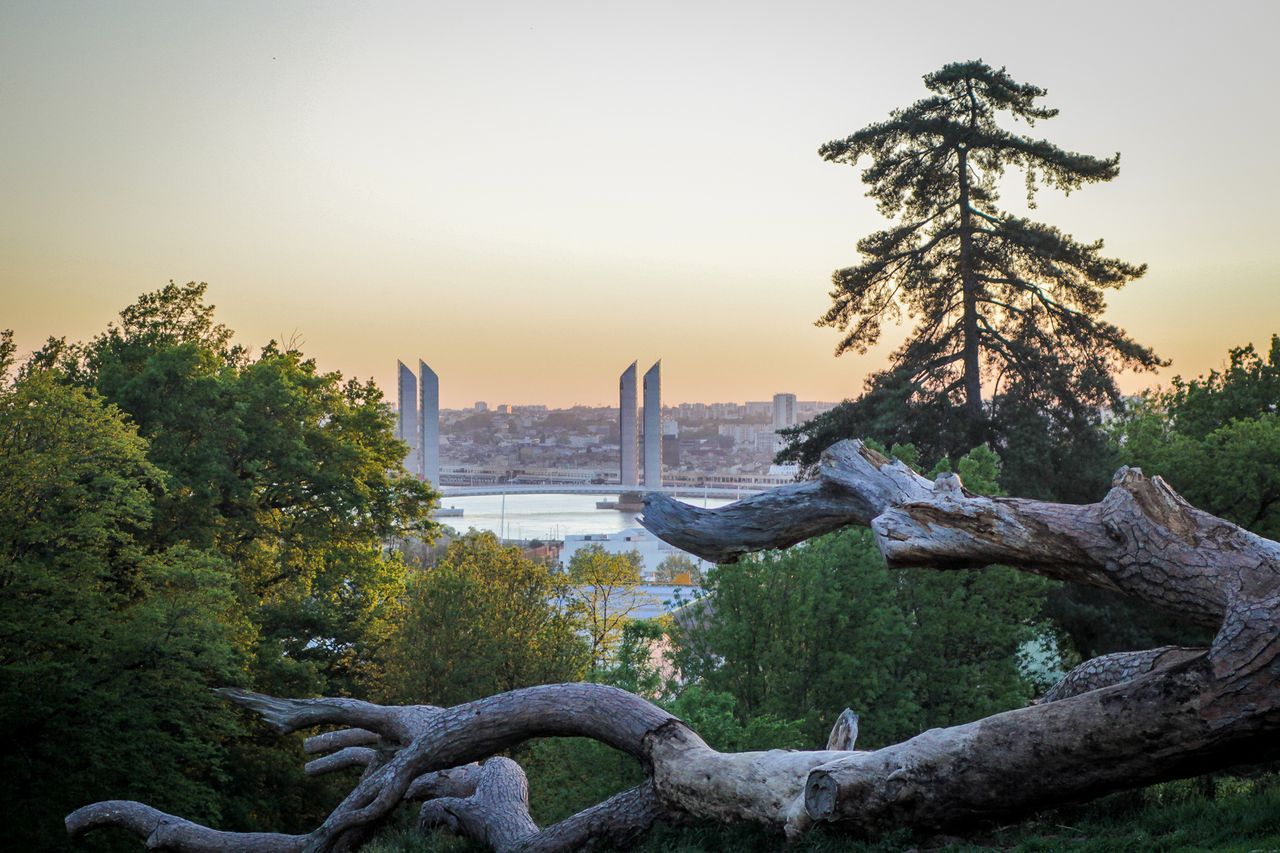 Panorama depuis le Parc Palmer